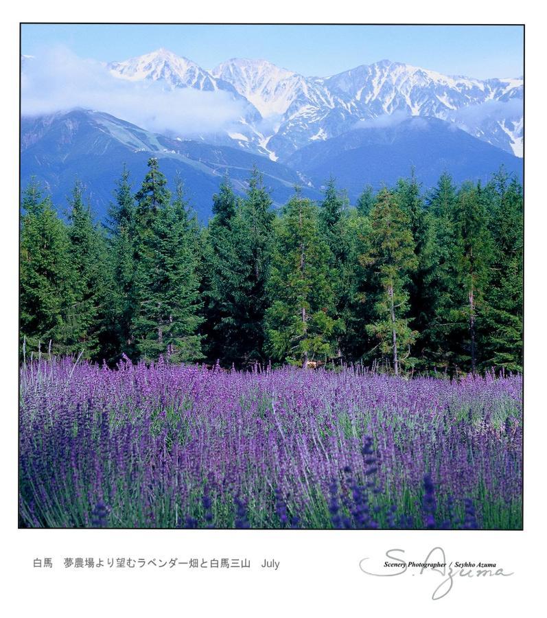 勃朗峰白马酒店 白马村 外观 照片